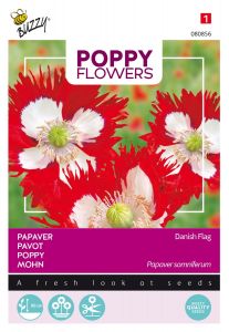 Buzzy Poppy Flowers Pavot Drapeau Danois