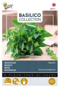 Buzzy Basilic Bascuro