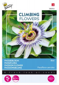 Buzzy Climbing Flowers, Passiflora Bleu