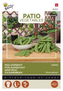 Buzzy Patio Veggies, Pois Mangetout Delikett