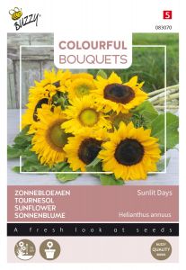 Buzzy Colourful Bouquets, Sunlit Days, Tournesol