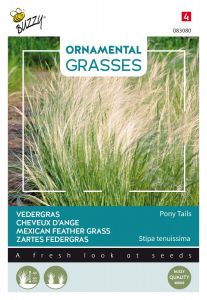 Buzzy Ornamental Grasses, Cheveux d’ange ‘Pony Tails’