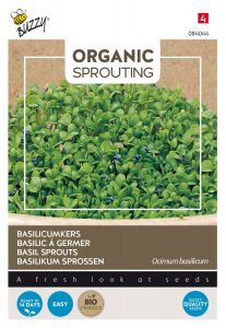 Buzzy Organic Sprouting de basilic (BIO)