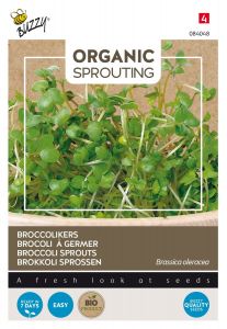 Buzzy Organic Sprouting de brocoli (BIO)