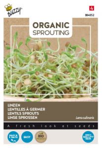 Buzzy Organic Sprouting Lentilles (BIO)