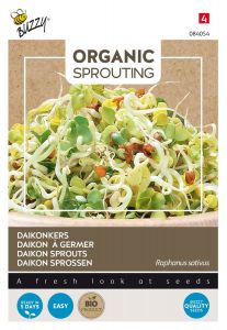 Buzzy Organic Sprouting Radis japonais, Daikon (BIO)