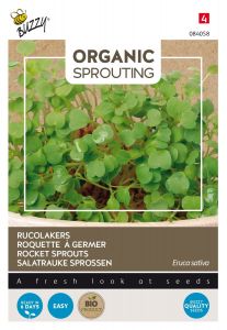 Buzzy Organic Sprouting de roquette (BIO)