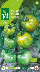 Bio Tomate Green Zebra