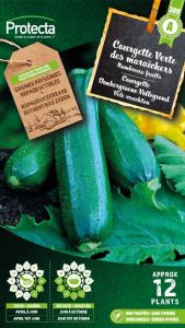 Courgette Verte des maraîchers – Protecta Graines paysanne