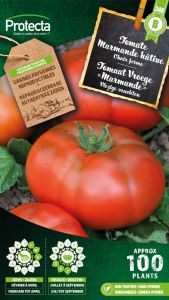 Tomate Marmande hâtive – Protecta Graines paysanne