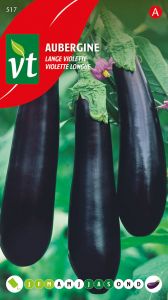 Aubergine Violette Longue