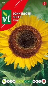 Tournesol Domino