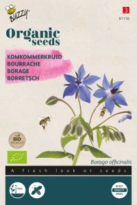 Buzzy Organic Bourrache (BIO)