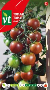 Tomate Black Cherry