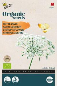 Buzzy Organic Ammi Majus, Aneth blanc (BIO)