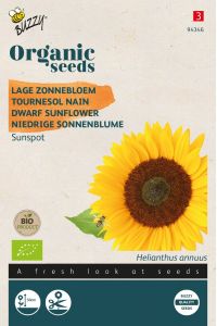 Buzzy Organic Tournesol nain Sunspot(BIO)