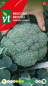 Brocoli Marathon F1 Hybride